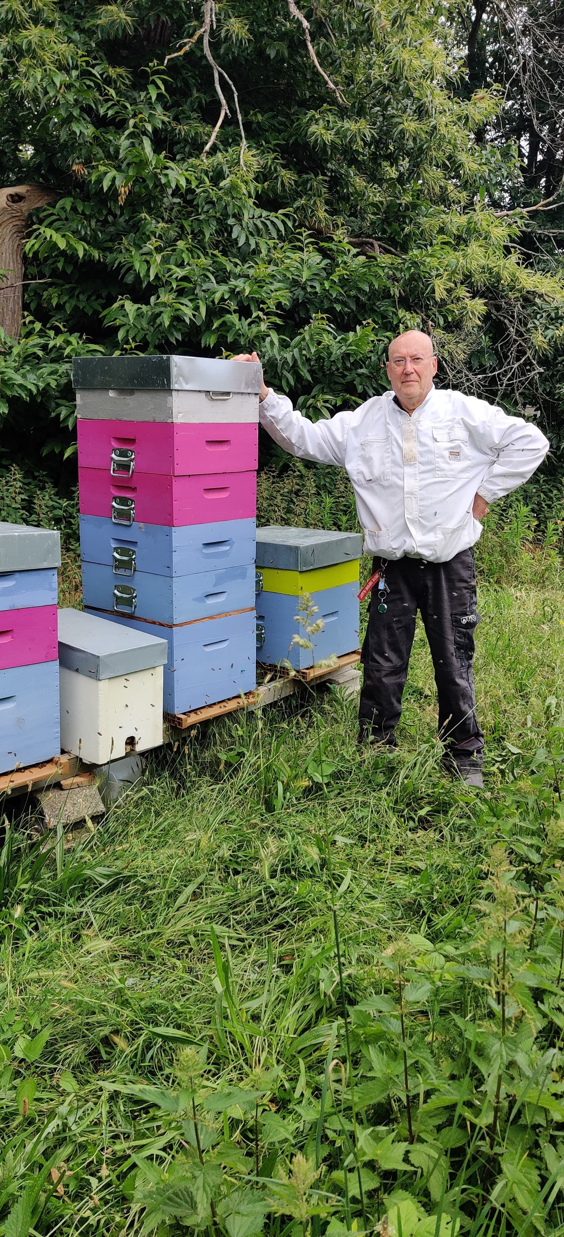 Les Ruches des Ailerons - Photo 2